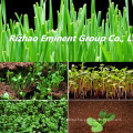 Green Organic Plants Growth Regulator for agriculture